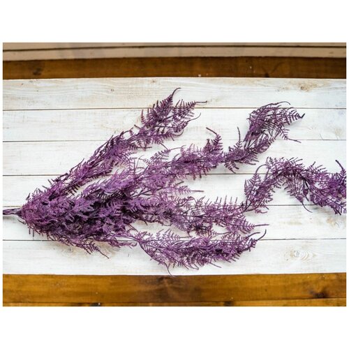 фото Гирлянда-подвеска аспарагус фиолетовая, 110 см, kaemingk 628986