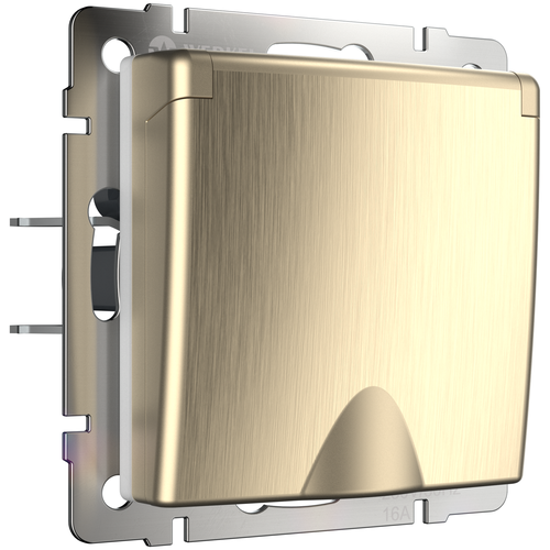 Розетка влагозащищенная с заземлением с защитной крышкой и шторками Werkel W1171210 Шампань рифленый