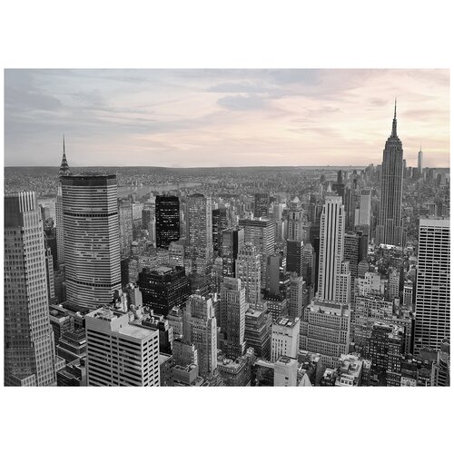 Нью-Йорк сепия - Виниловые фотообои, (211х150 см) джунгли сепия виниловые фотообои 211х150 см
