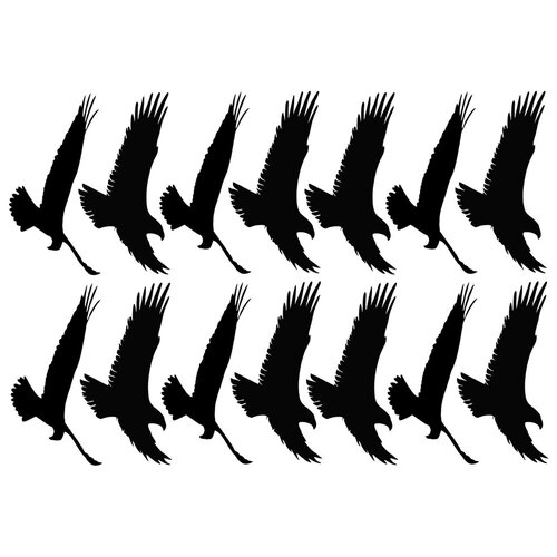 Наклейки стикеры, силуэты хищных птиц вариант 12 (размер А2)