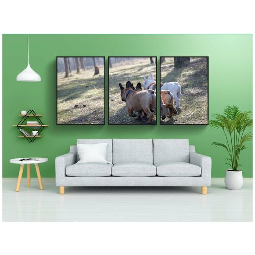 фото Набор модулных постеров для интерьера "французский бульдог, веселая, собака" 60x90 см. в тубусе, без рамки lotsprints