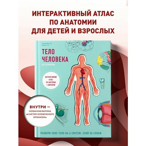 изысканная книга с изображением популярная научная энциклопедия фонетическая версия детские популярные научные книги с изображениями Тело человека. Интерактивный атлас по анатомии с вырубкой.