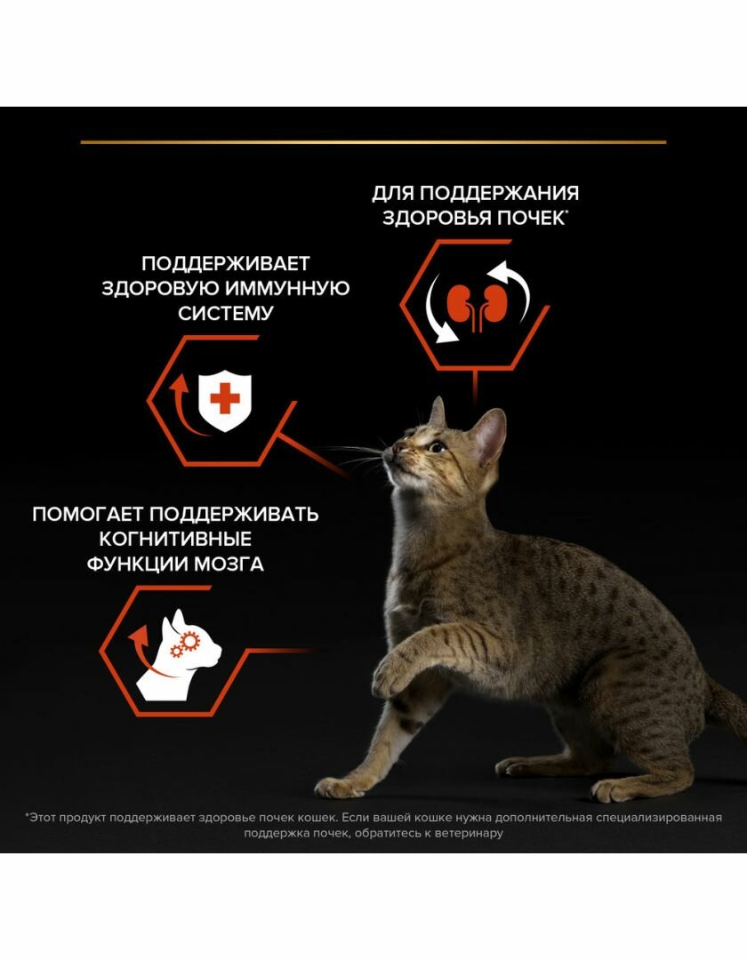 Сухой корм Pro Plan для взрослых кошек от 1 года, лосось, 3кг Purina ProPlan - фото №13