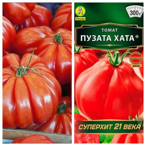 Семена Томат Пузата Хата от Агрофирмы Аэлита ,3 штуки семена аэлита томат пузата хата плоды 200 300 гр