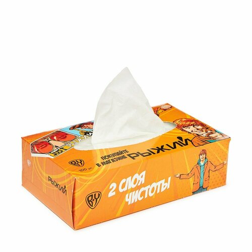 BY Рыжий Салфетки бумажные non-stop в коробке 2сл 100л 284₽
