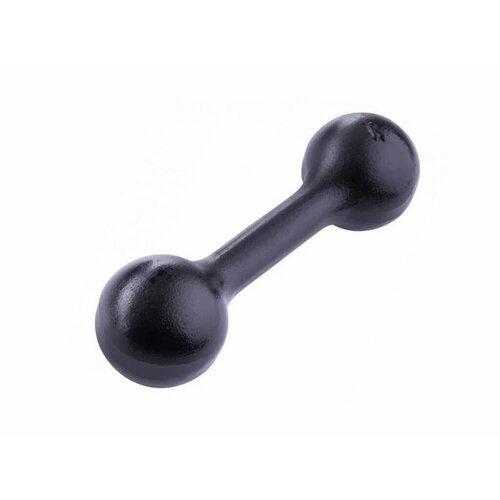 Гантель литая 4 кг 1650₽