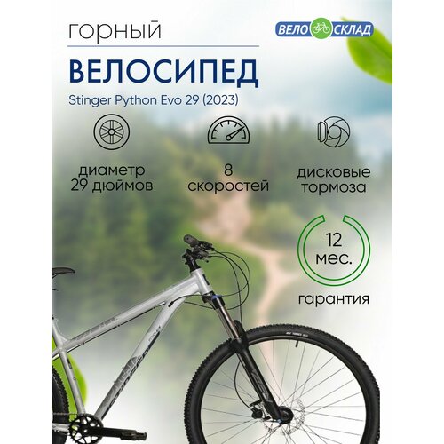 Горный велосипед Stinger Python Evo 29 год 2023 цвет Серебристый ростовка 18 53020₽