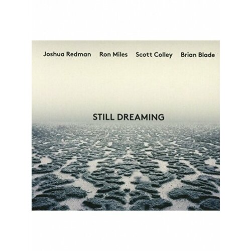 Redman & Miles & Cooley & Blade - Still Dreaming (1CD) 2018 Digisleeve Аудио диск