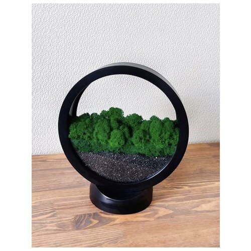 Настольное кашпо со мхом 3400₽