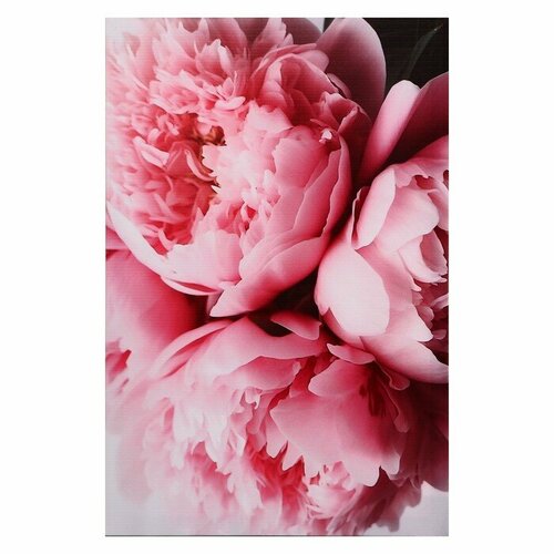 Постер-Лайн Картина на холсте "Любимые цветы" 40*60 см
