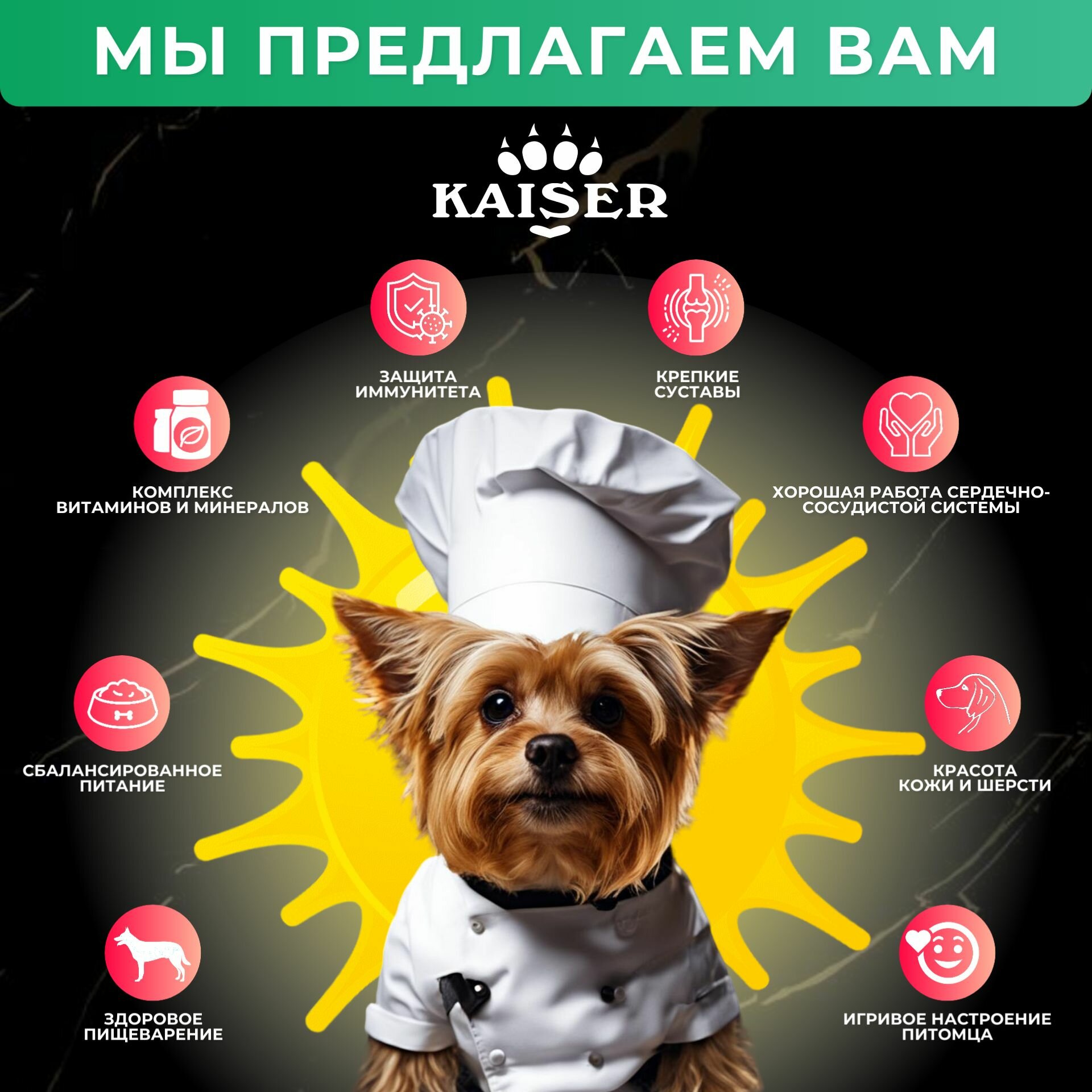 KAISER Сухой корм для мелких собак Ягненок и Тыква, минипачка 200 гр — фото 1