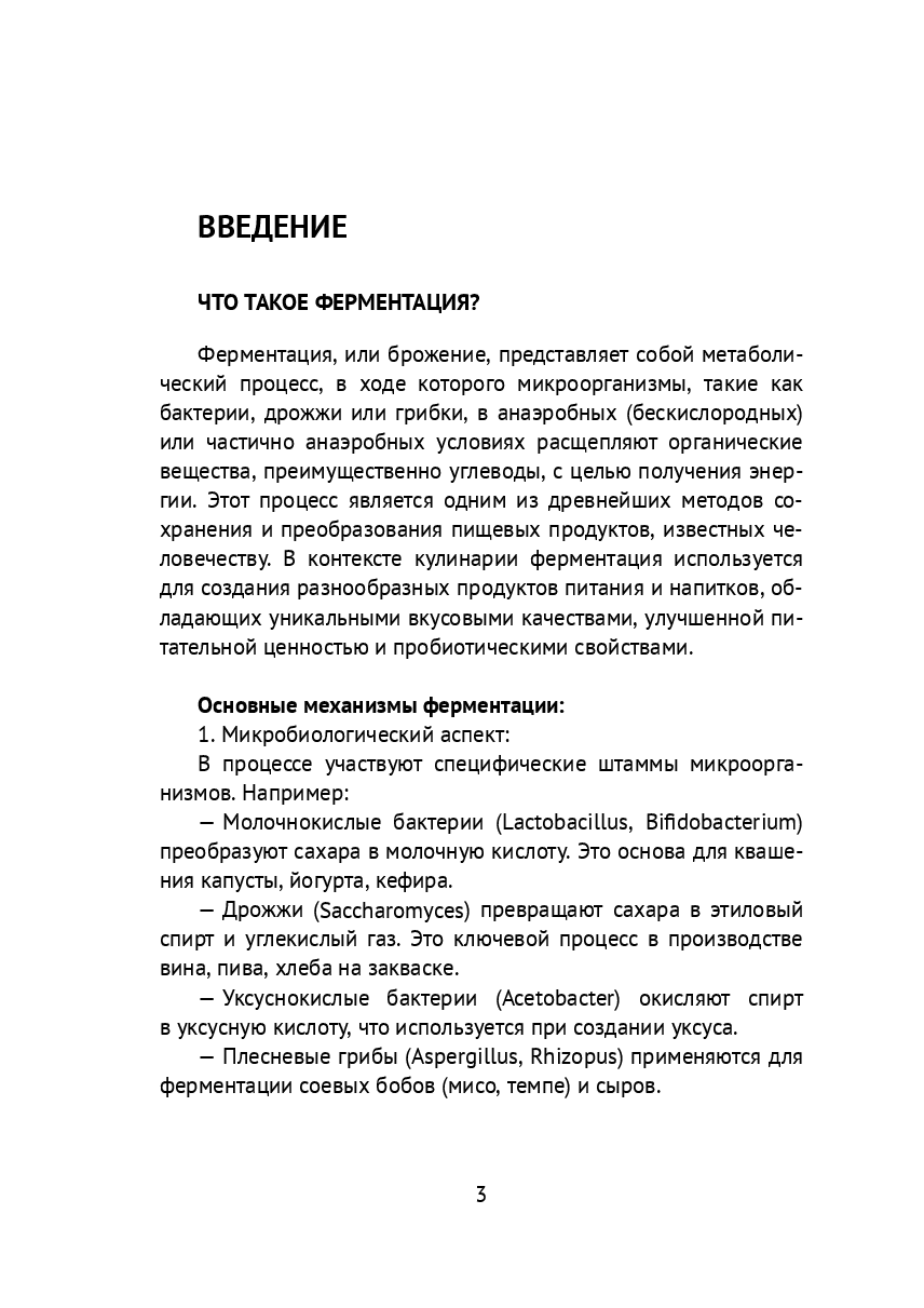 Рецепты ферментированных продуктов — фото 1