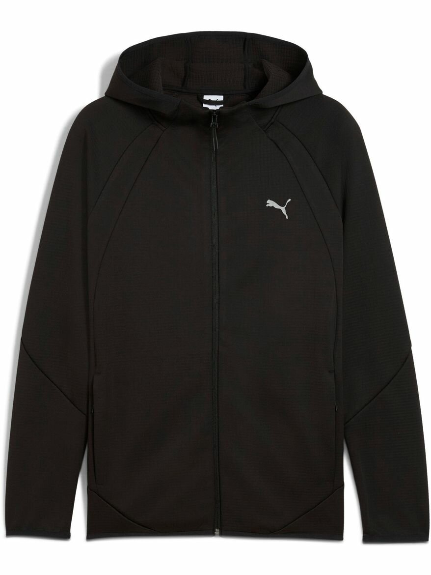 Толстовка спортивная EVOSTRIPE Warm FZ Hoodie