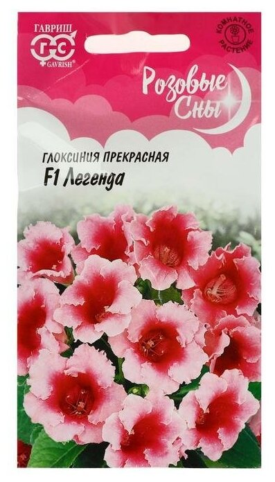 Глоксиния розовая сны — купить по низкой цене на Яндекс Маркете
