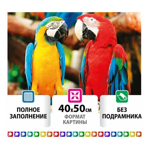 Картина стразами (алмазная мозаика) 40х50 см остров сокровищ 