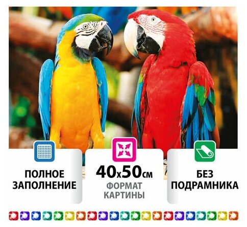 Картина стразами (алмазная мозаика) 40х50 см остров сокровищ "Попугаи" без подрамника, 1 шт