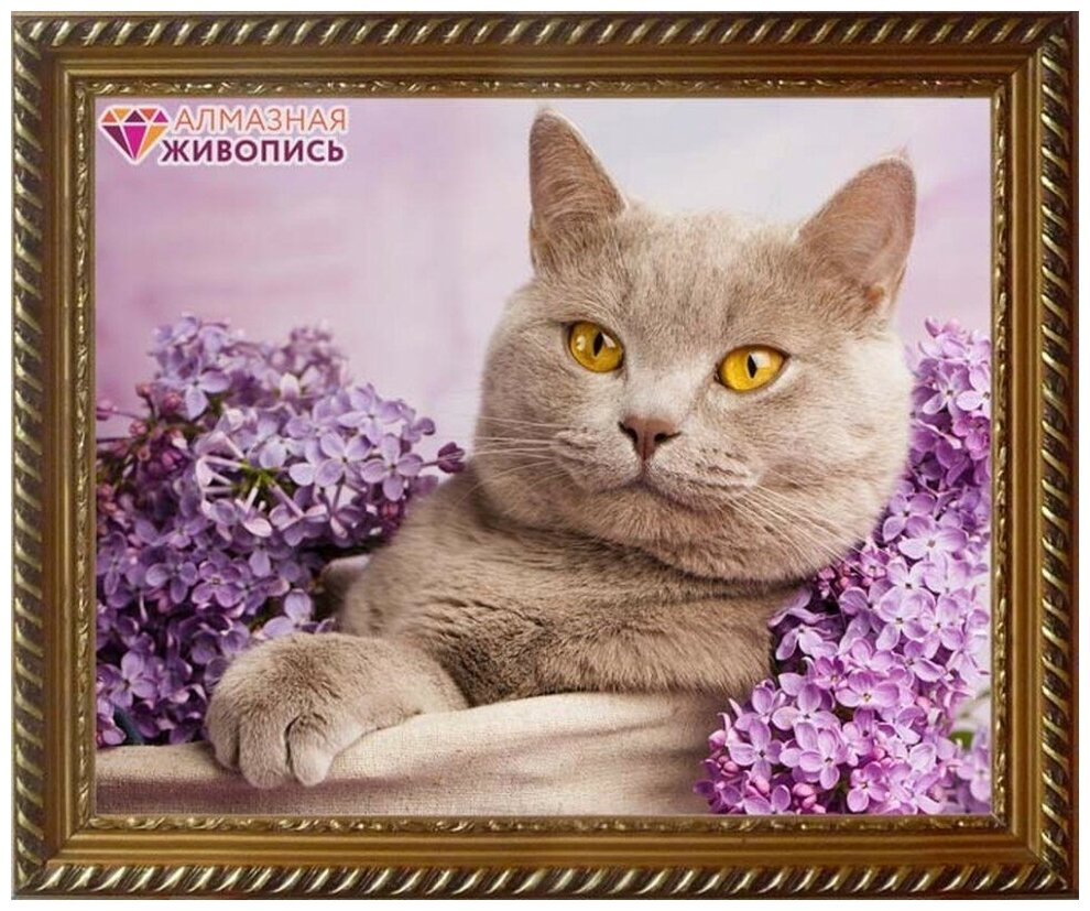 Кот в сирени #АЖ-1417 Алмазная живопись Набор алмазная мозаика 40 x 30 см