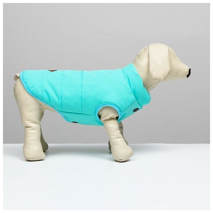 Куртка для собак, S (ДС 20 см, ОШ 23 см, ОГ 32 см), голубая - фотография № 2
