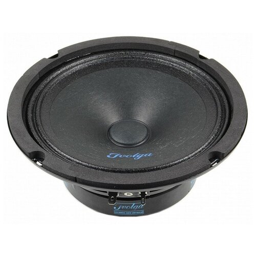 Автомобильные колонки широкополосные Ivolga UP-651 276000₽