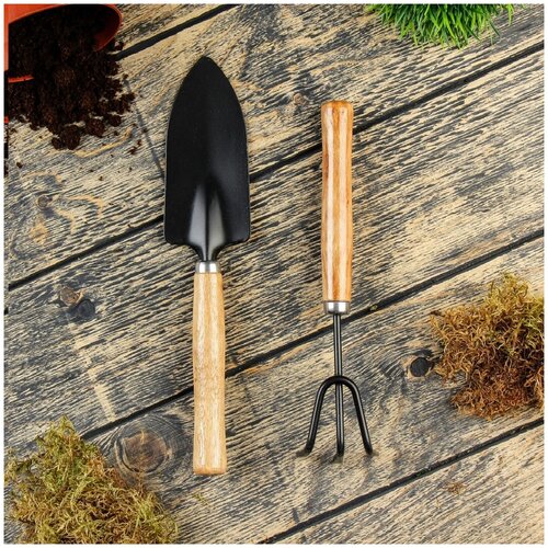 Набор садового инструмента, 2 предмета: рыхлитель, совок, длина 20 см, деревянные ручки (1 шт.) набор садового инструмента 3 предмета рыхлитель совок грабли длина 20 см