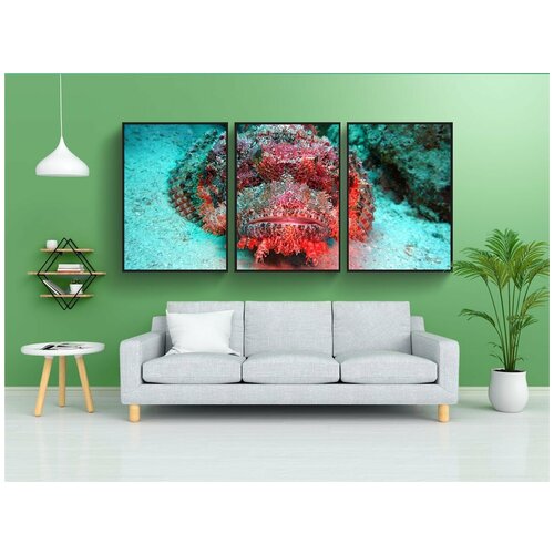 фото Набор модулных постеров для интерьера "голова дракона, красное море, египет" 60x90 см. в тубусе, без рамки lotsprints