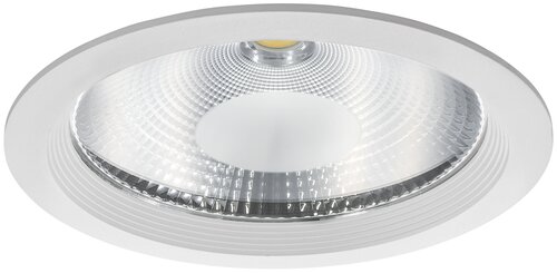 Светильник Lightstar Forto 223502, LED, 50 Вт, 3000, теплый белый, цвет арматуры: белый, цвет плафона: бесцветный