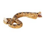 Mojo Гремучая змея 387268 - изображение