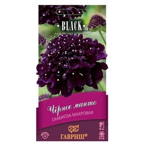 Семена. Скабиоза пурпурная Чёрное манто, махровая (10 пакетов по 0,2 г) (количество товаров в комплекте: 10)