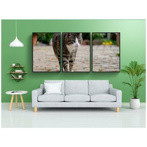фото Набор модулных постеров для интерьера "кот, бег, домашняя кошка" 60x90 см. в тубусе, без рамки lotsprints