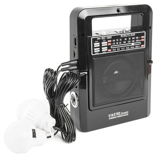 Радиоприемник портативный Сигнал Vikend Traveler черный USB SDMMC 370500₽