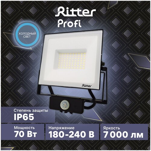 Прожектор уличный Ritter 53423 9