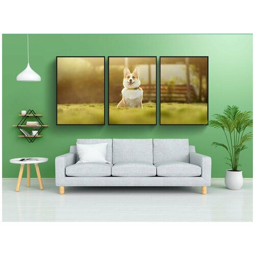 фото Набор модулных постеров для интерьера "собака, корги, милый" 60x90 см. в тубусе, без рамки lotsprints