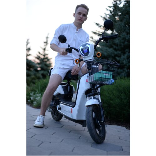 Электровелосипед 6184600₽