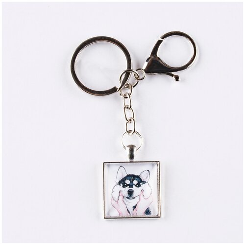 фото Брелок darifly серебристый с карабином, большим кольцом для ключей с цепью и квадратным рисунком "руки обнимают голову милой собаки" в стиле аниме