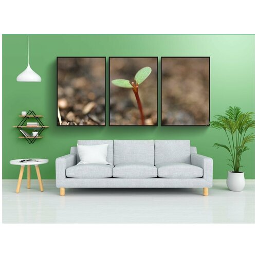 фото Набор модулных постеров для интерьера "карта, зародыш, дерево" 60x90 см. в тубусе, без рамки lotsprints