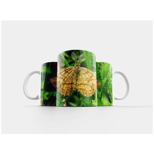 фото Кружка "бабочка, макрос, природа" 320 мл lotsprints
