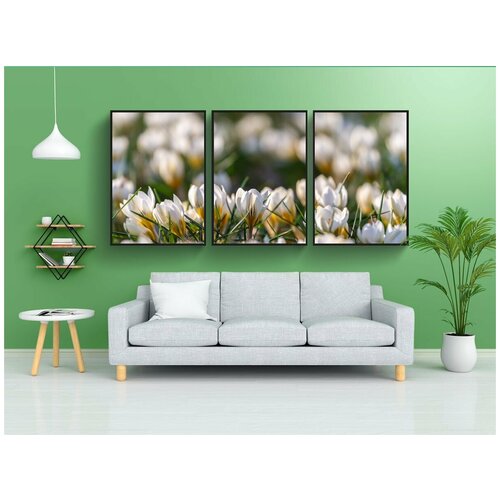 фото Набор модулных постеров для интерьера "цветы, крокус, лепестки" 60x90 см. в тубусе, без рамки lotsprints