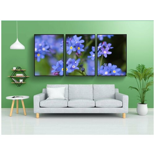 фото Набор модулных постеров для интерьера "расцветает, не забывай меня, синий" 60x90 см. в тубусе, без рамки lotsprints