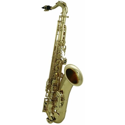Тенор саксофон Roy Benson TS-202 109061₽