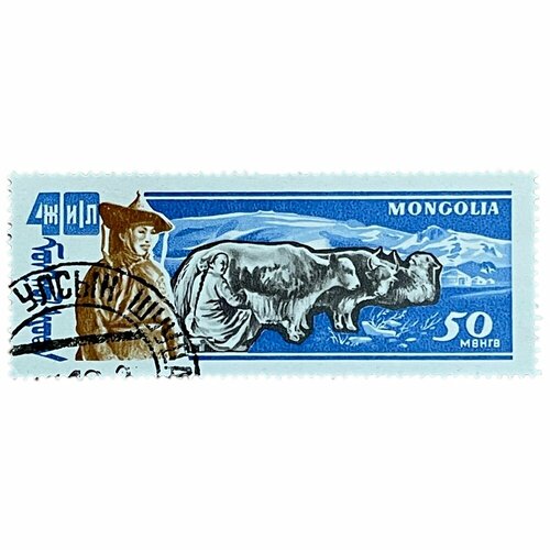 Почтовая марка Монголия 50 мунгу 1961 г. 40 годовщина победы народной республики: животноводство