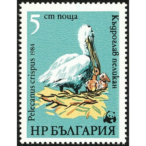 (1984-072) Марка Болгария Пеликан (1) Всемирная охрана природы III O 1984 073 марка болгария пеликан 2 всемирная охрана природы i θ