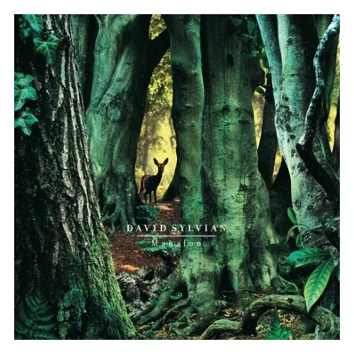 Виниловые пластинки, Samadhisound, UMC, DAVID SYLVIAN - Manafon (2LP) mendez yamile saied random acts of kittens