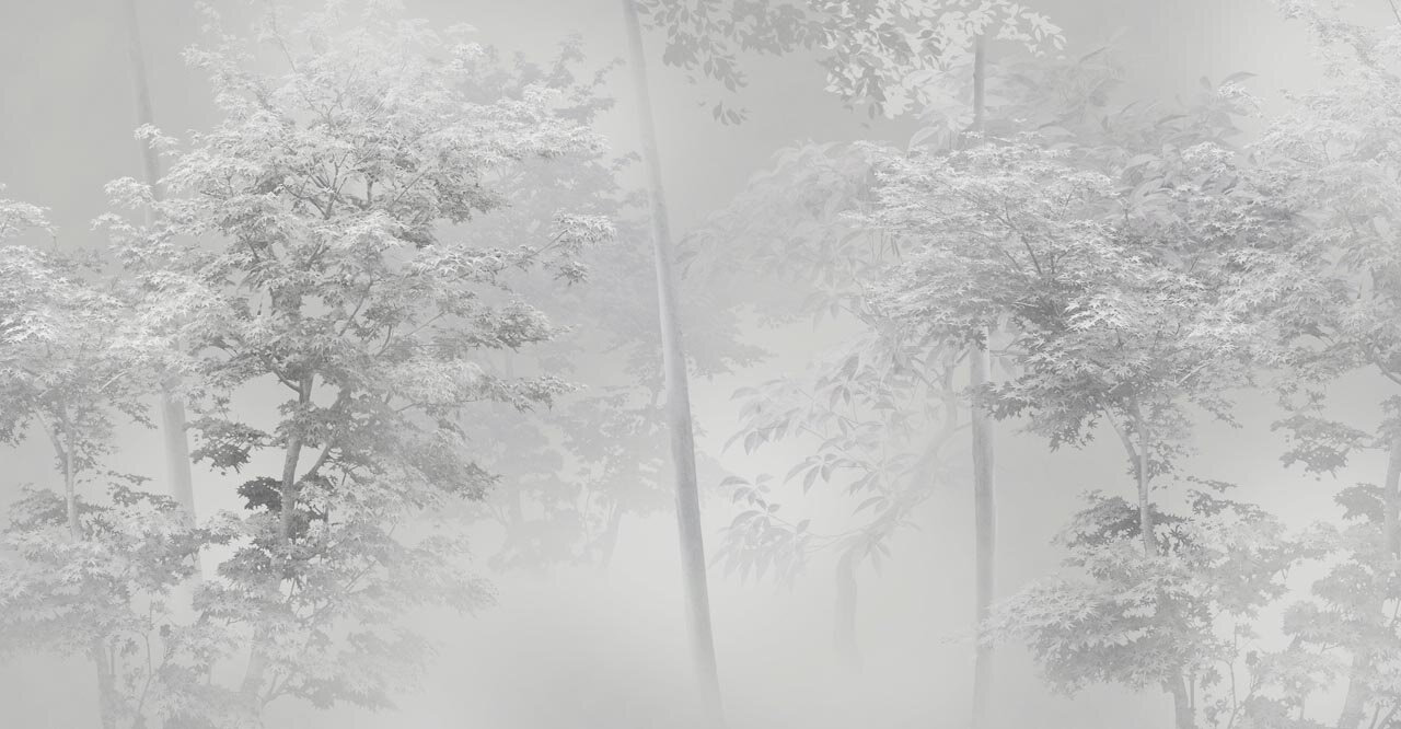 Фотообои Серый зимний лес 275x529 (ВхШ), бесшовные, флизелиновые, MasterFresok арт 13-495