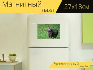 Магнитный пазл "Кошка, одомашненный, полосатый" на холодильник 27 x 18 см.