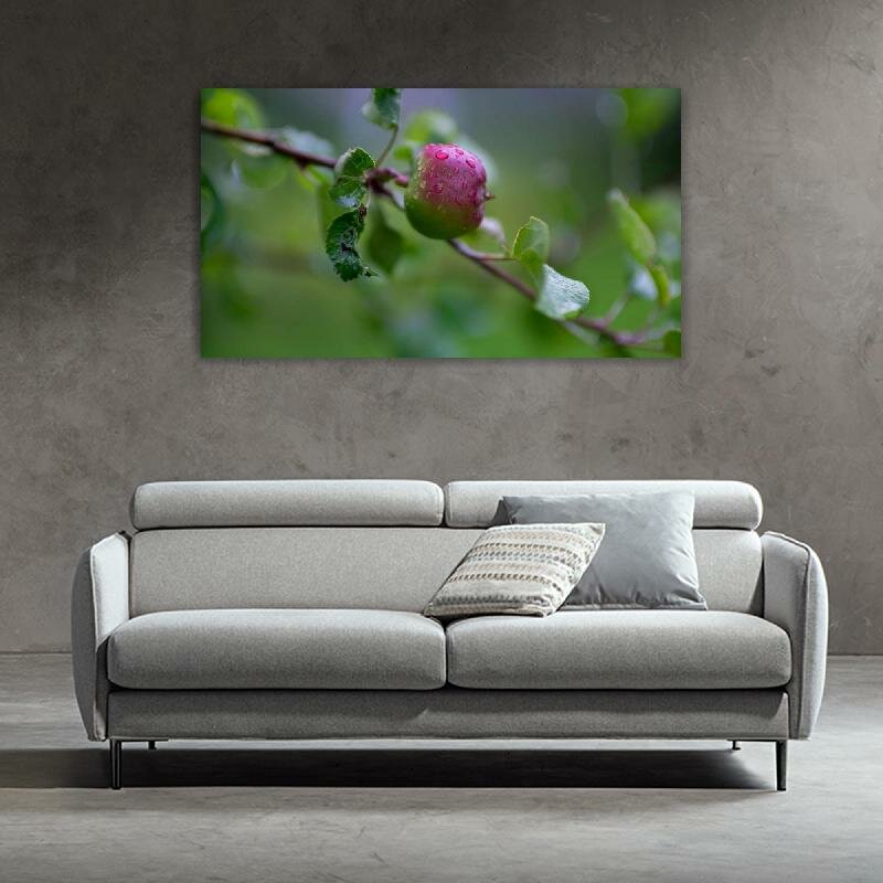 Картина на холсте 60x110 LinxOne "Листья капли яблоня ветка боке" интерьерная для дома / на стену / на кухню / с подрамником