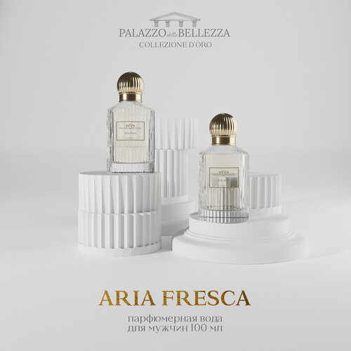 PALAZZO della BELLEZZA Парфюмерная вода мужская Aria Fresca 100 мл