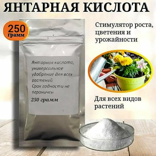 Янтарная кислота 250 гр.