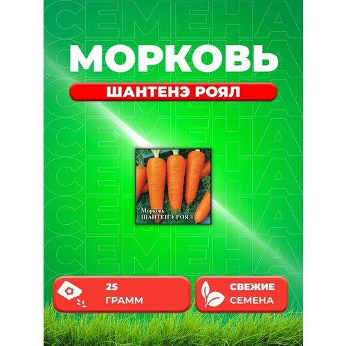 Морковь Шантенэ Роял 25,0 г