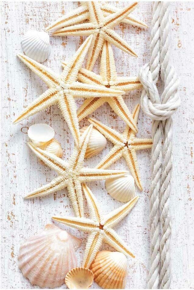 фото Панель ПВХ 250*2700*8мм Модель Цвет 18 (Ламинированная повышенной прочности)