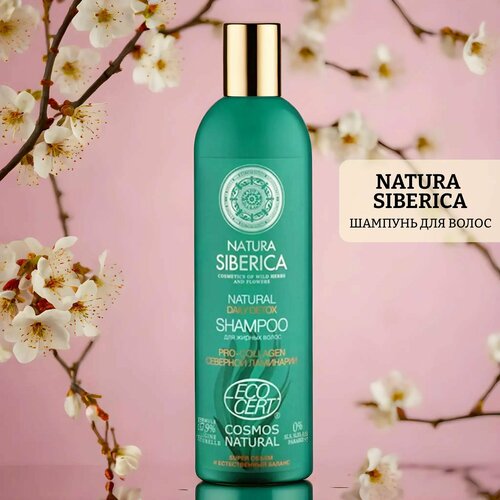 Сертифицированный шампунь для жирных волос natura siberica daily detox